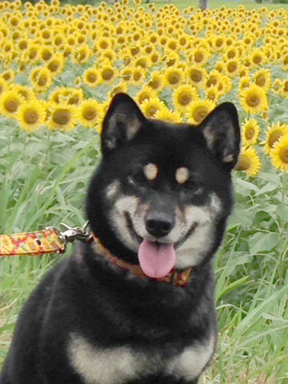 2014_8_3_1.jpg