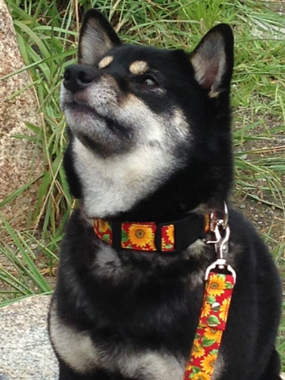 2014_8_3_2.jpg
