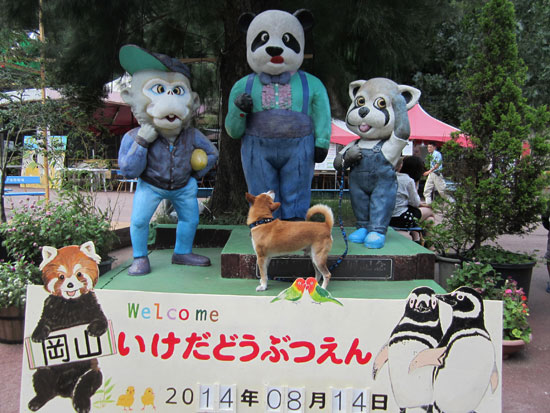 柴犬 ばろん 1