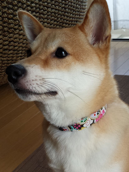 20140831_095659.jpg