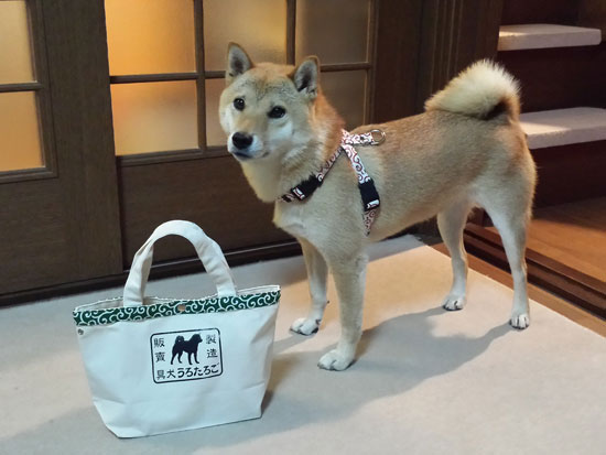20140907_200724.jpg