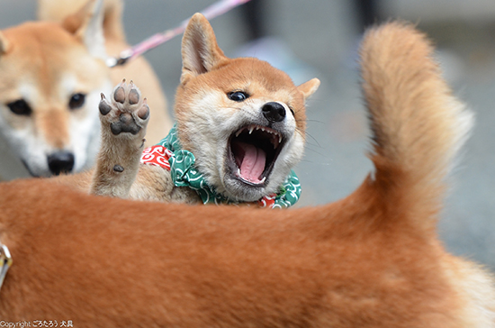 2014_10_12_1.jpg