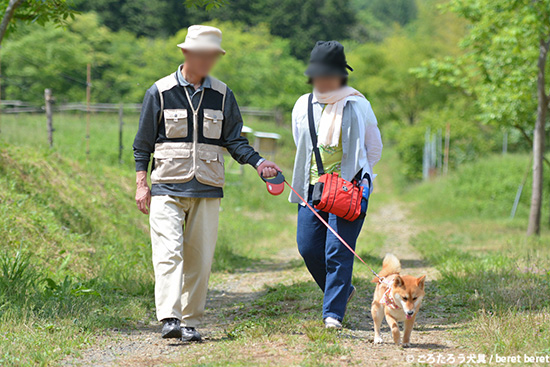 15517miwa-076.jpg