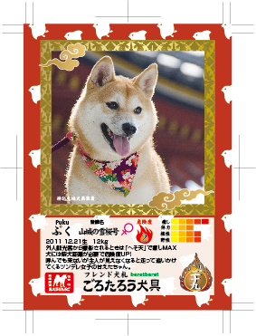 A7たて_表面azuki.jpg