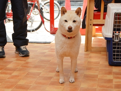 AAA_1451.jpg