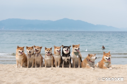 大浜海岸2