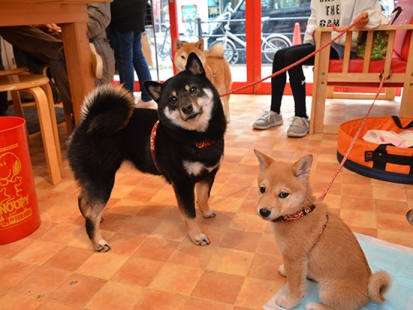 20190210_1.jpg