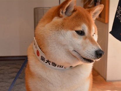 革首輪
