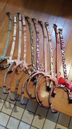 柴犬 さくら 犬具 3