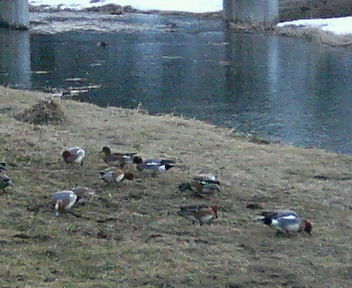 20060225_49629.jpg
