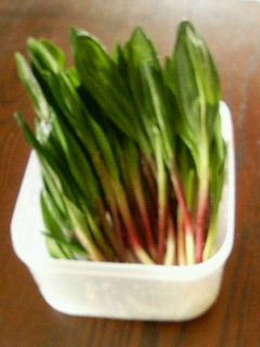 200905011456000.jpg