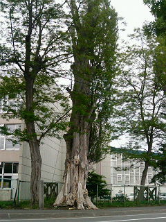 200906011513000.jpg