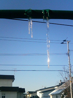 200912040826001.jpg