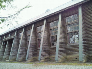 2011051615350000.jpg