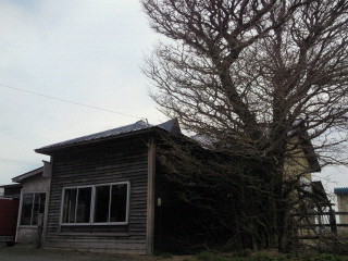 2011051615260000.jpg