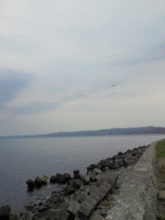 2011051615130000.jpg