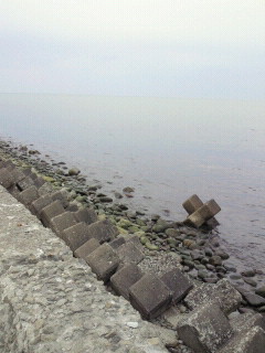 2011051615120001.jpg