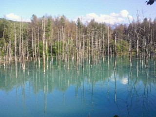 2011091415300000.jpg
