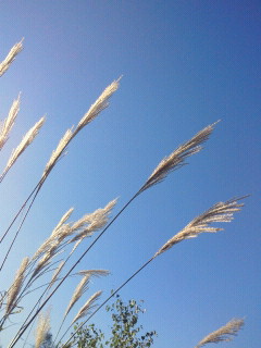 2011091415380000.jpg