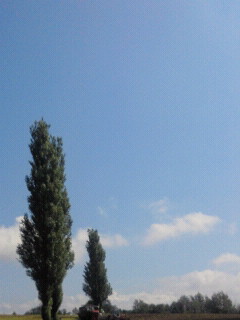 2011091410340000.jpg