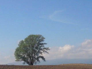 2011091411430000.jpg