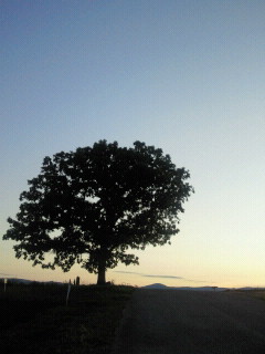 2011091417440000.jpg