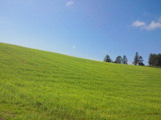 2011091412190001.jpg