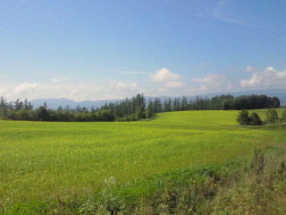 2011091411480000.jpg