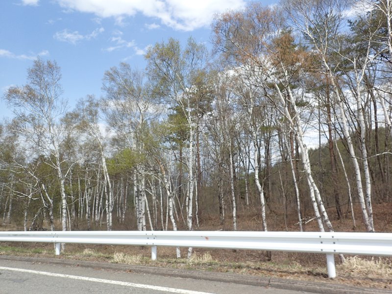 P4300164.JPG