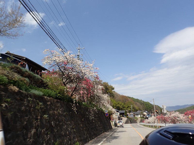 P4300170.JPG