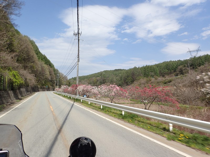 P4300172.JPG
