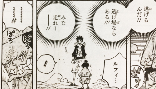 ワンピース82巻 | かぃ賊。