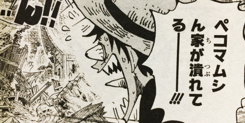ワンピース82巻 | かぃ賊。