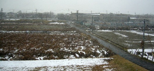 雪の名古屋郊外