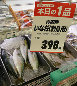 いなだ