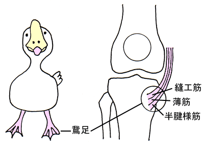 鵞足炎 | 鼠狸庵閑話(そりゃあかんわ）