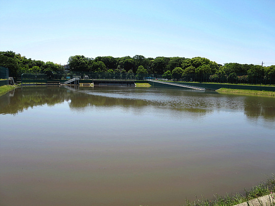 和田堀公園野球場池 鼠狸庵閑話 そりゃあかんわ