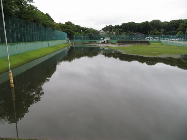 IKEカード 池カード　野川第一調節池和田堀第六調節荏原調節池他27種(東京都) 和田堀第六調整池 | 鼠狸庵閑話(そりゃあかんわ）