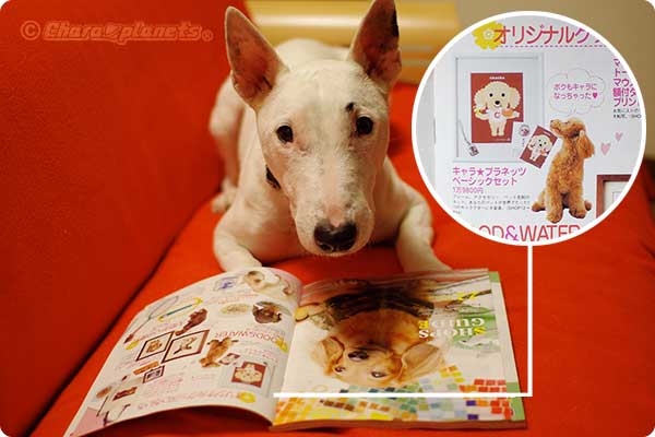 るるぶを読むビート