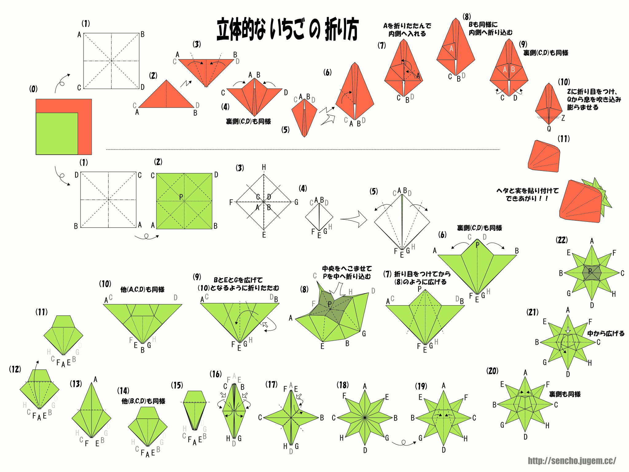 いちご の おりかた 折り図作成 アトリエせんちょー