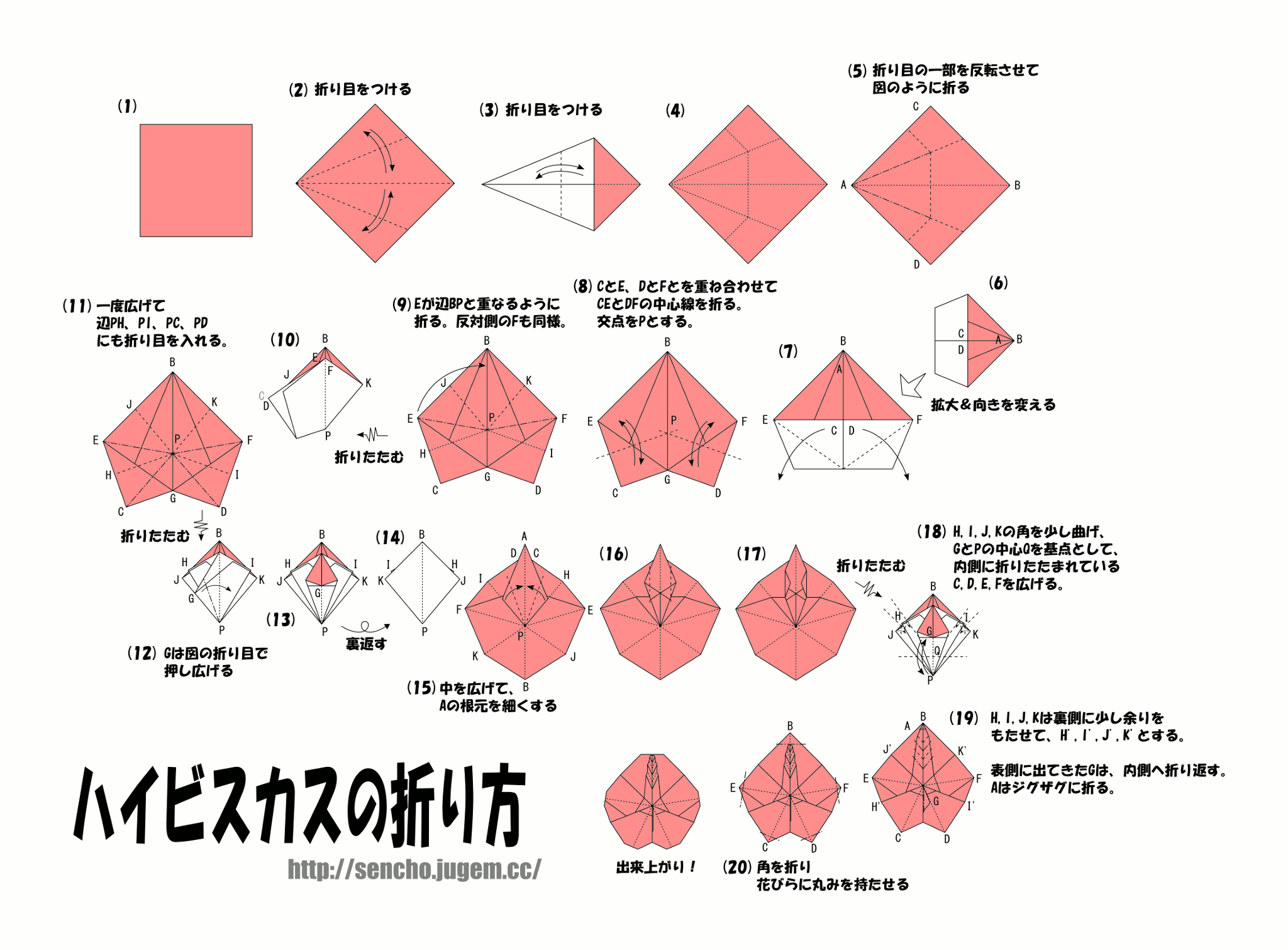 ハイビスカスの折り方 アトリエせんちょー