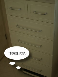 ŽÖŽÆŽÝޏŽÞŽ×޼
