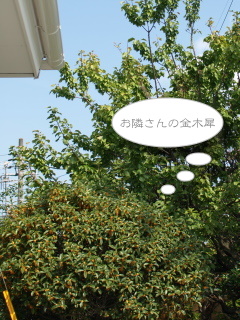 ŽÖŽÆŽÝޏŽÞŽ×޼