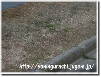 yoningurashi