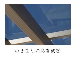 yoningurashi