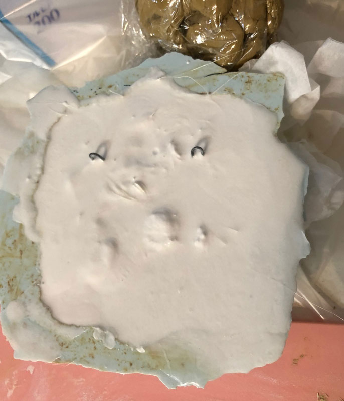 2019012923.jpg