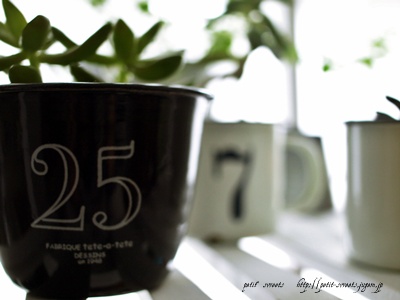 25.