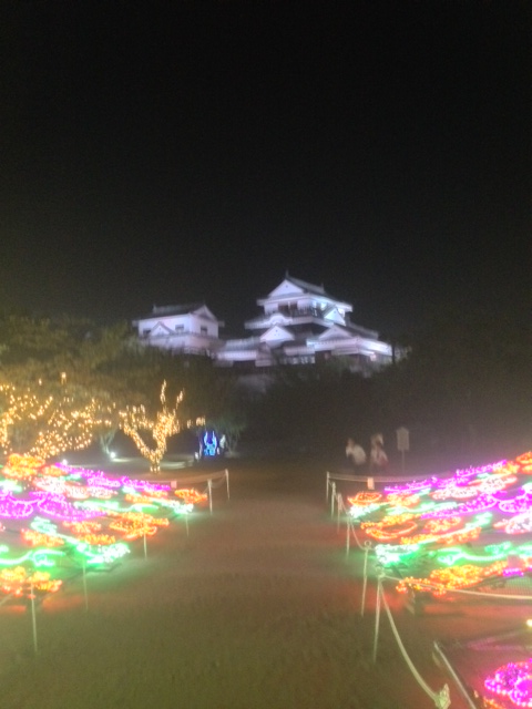 光の花壇と松山城