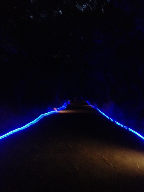 登山道