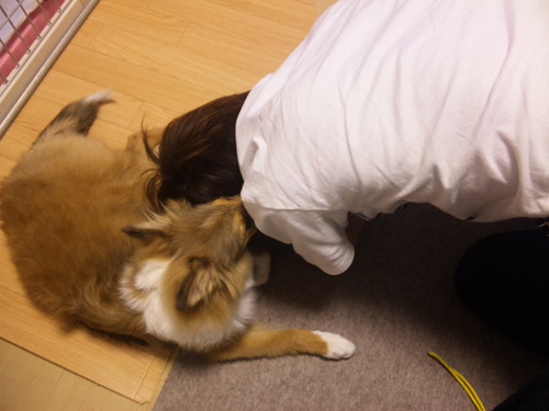 写真_100802_01.jpg